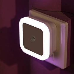 LED Night Light