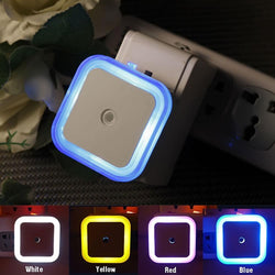 LED Night Light
