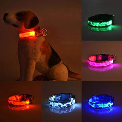 LED Pet Collar Harness 