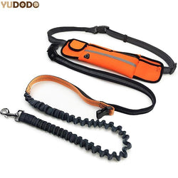 Hands-Free Waist Dog Leash 