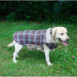 Waterproof Reversible Dog Jacket 